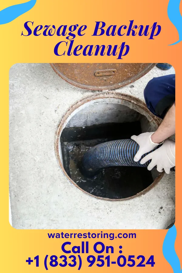 Sewage Backup Cleanup in Topsail Beach, NC