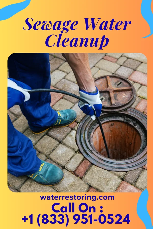 Sewage Water Cleanup in Topsail Beach, NC